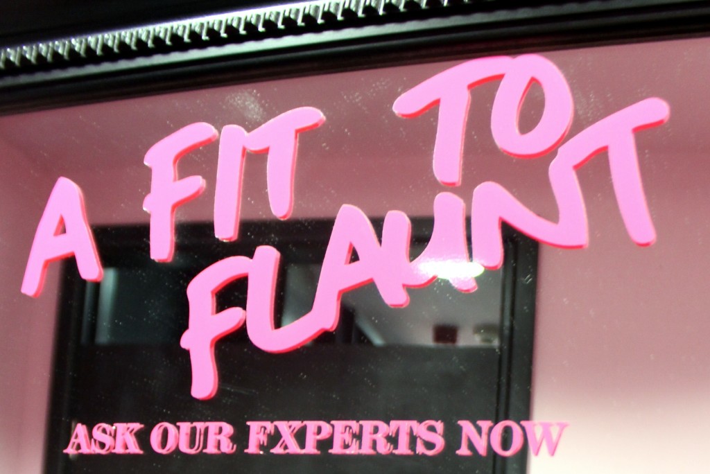 Big Cup Little Cup Ann Summers Fit To Flaunt