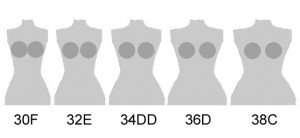 Cup_size_comparison