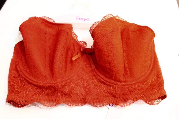 Freya Fancies Underwire Longline lace bra 