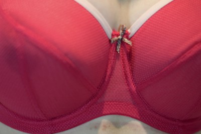 Cleo Blake bra review 28GG