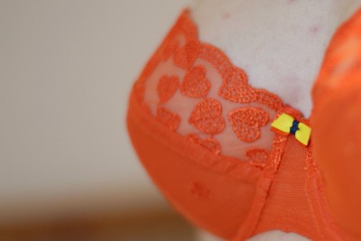 Kali balconette bra review Cleo Panache