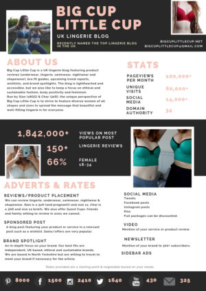 Big Cup Little Cup UK Lingerie blog media kit and advertising